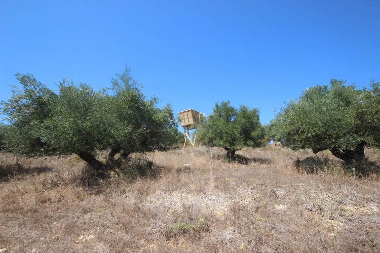 Tragata 临时木结构建筑-19