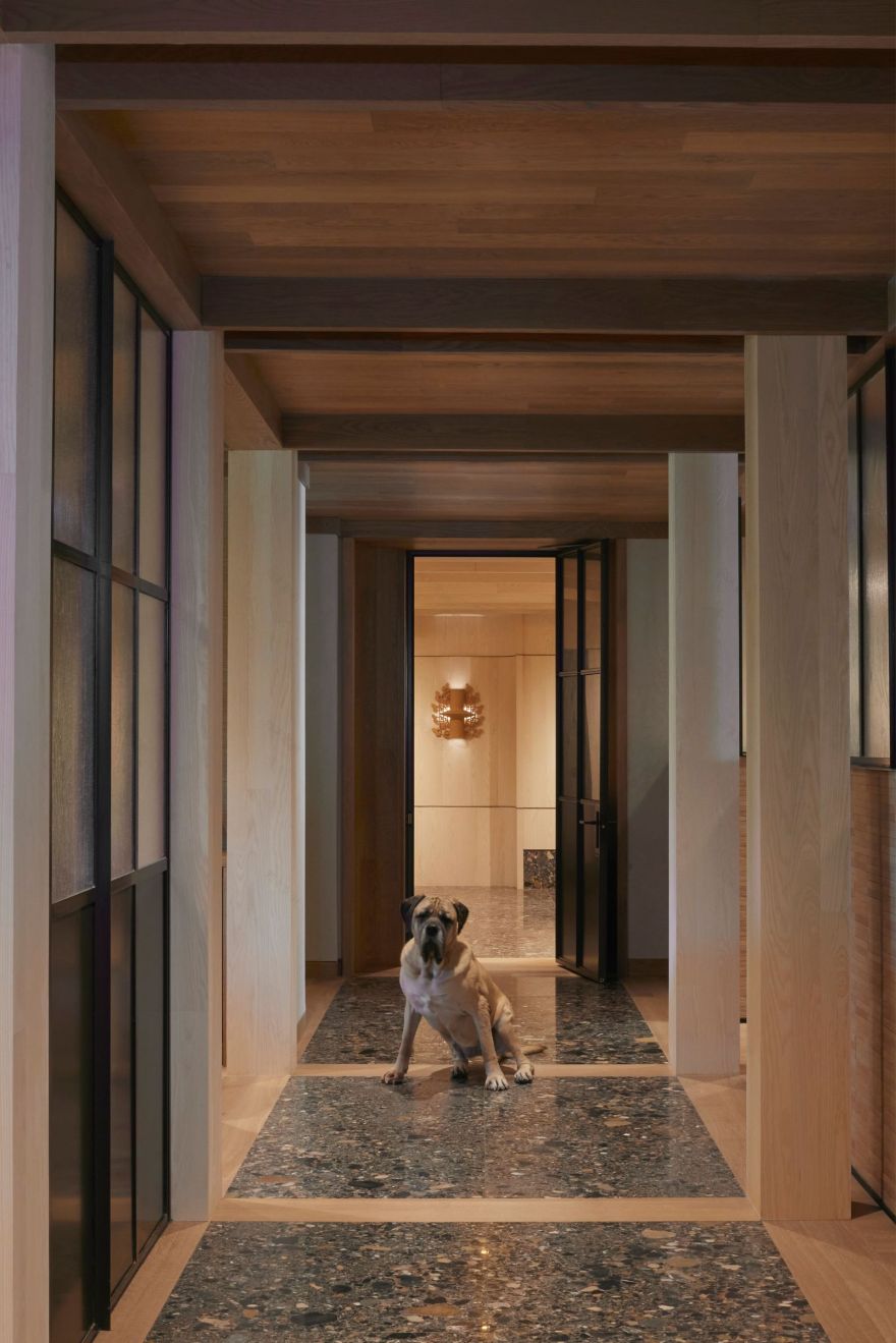 King Animal Hospital(国王动物医院)丨加拿大丨Kelly Wearstler(凯利·韦斯特勒)-7