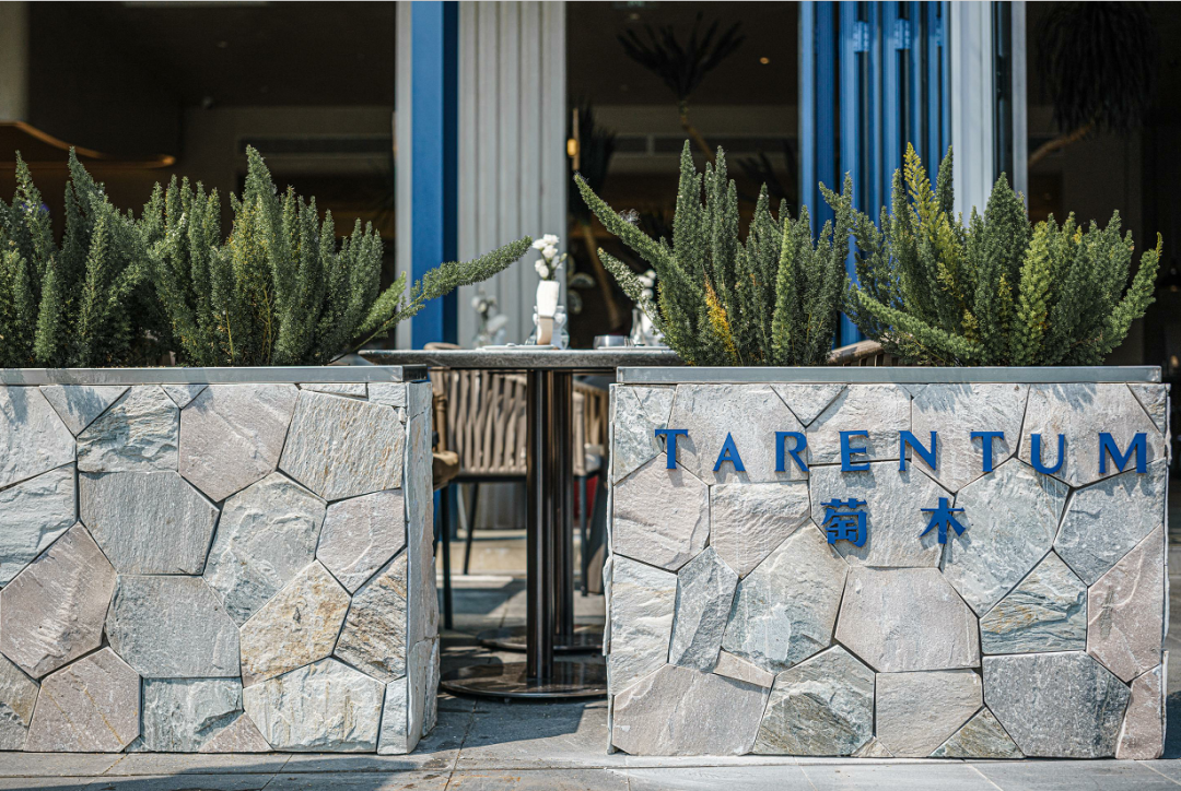 TARENTUM 萄木·Café BAR丨中国深圳丨RBD DESIGN BOX-54