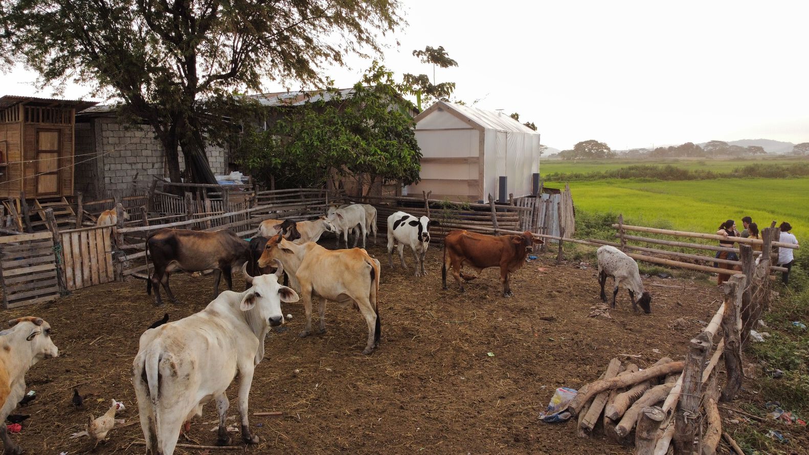 厄瓜多尔浮动温室丨胡安·卡洛斯·邦巴,自然未来艺术-12