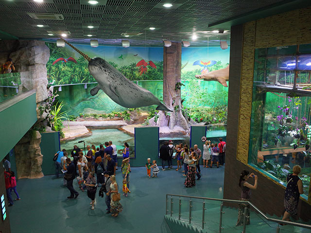 莫斯科海洋与生物中心“莫斯科水族馆”丨俄罗斯莫斯科丨Aqua Logo Engineering（暂译:水标工程公司）-8