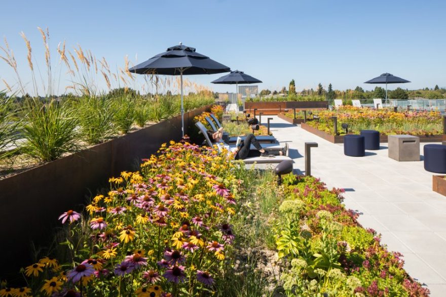 丨United StatesPortland丨Shapiro Didway-11