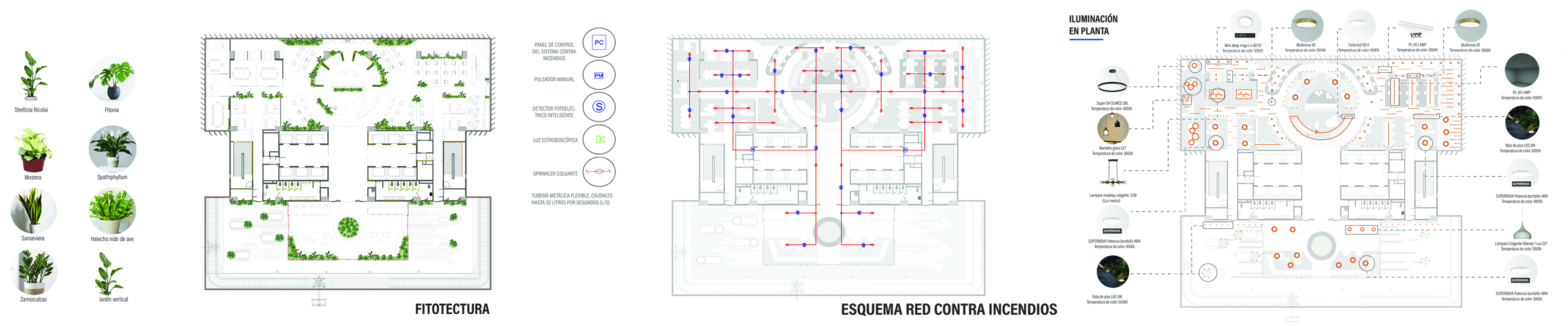 FONDO INMOBILIARIO COLOMBIA办公区域干预项目-7
