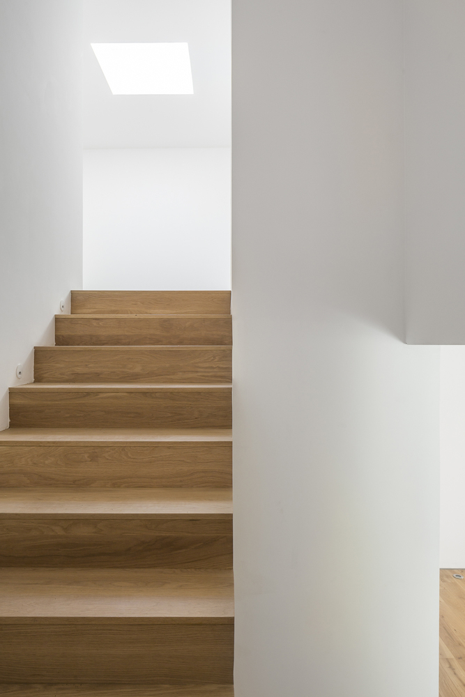 绿意盎然的新 Newman House-43