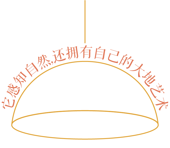 女儿画的灯,父亲造的凉亭,与一座会“长大”的房子-2