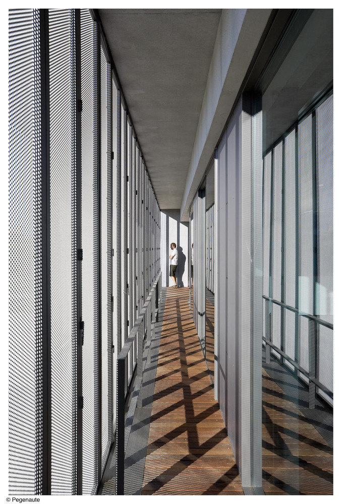 Domínguez House 过滤式花园设计-45