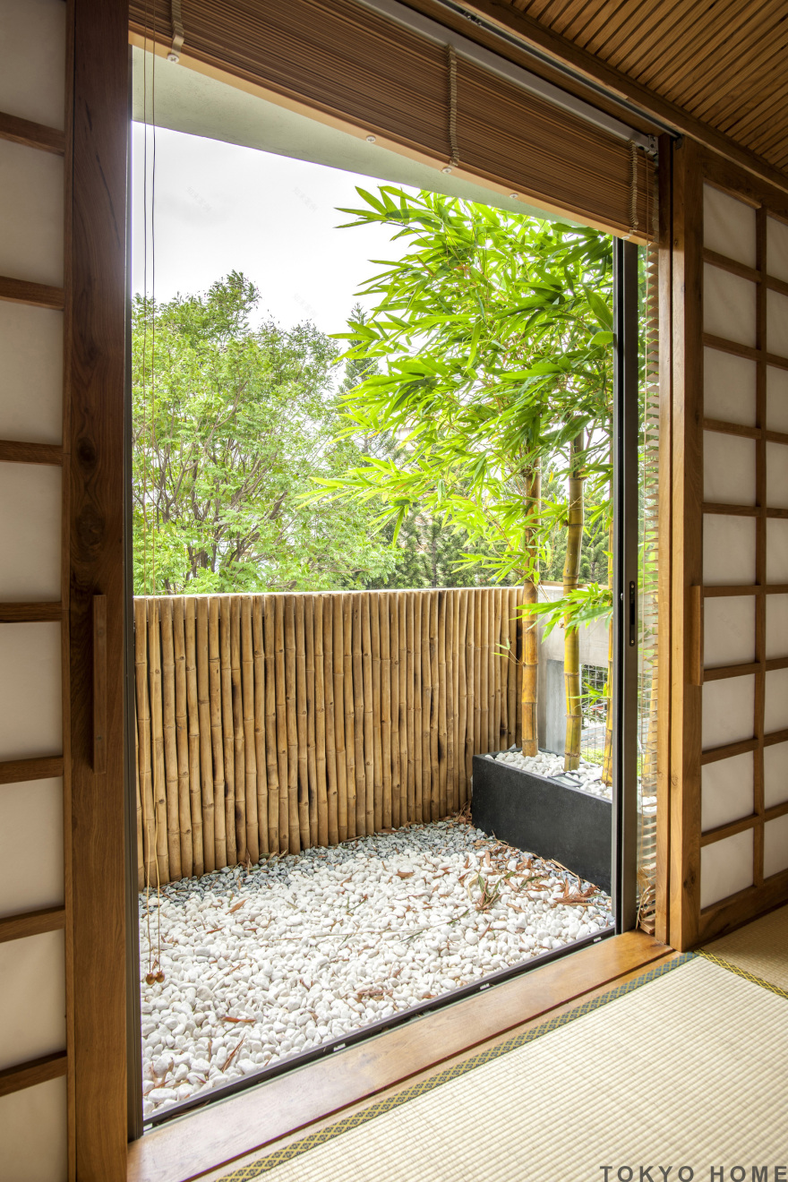 Cities & Gardens / ROOM+ Design & Build-35