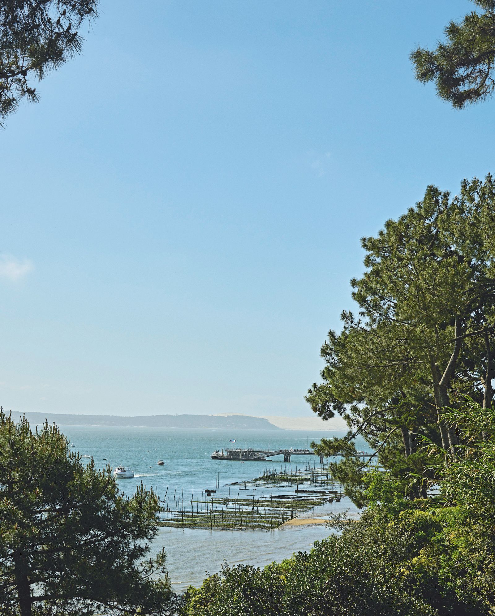 法国海滨带泳池别墅改造项目丨Daniel Suduca,Thierry Mérillou-20