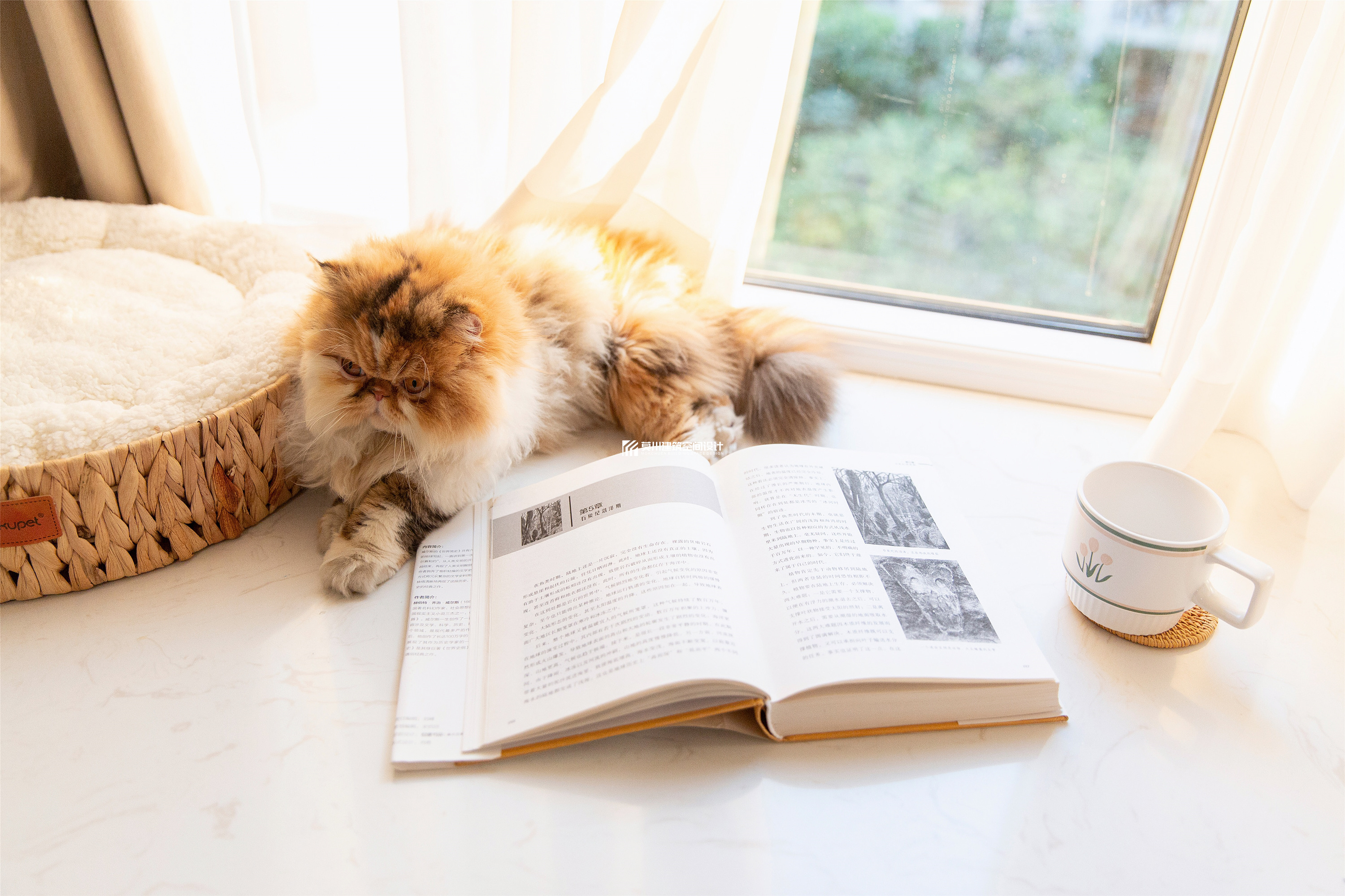 鼎太风华 127m²北欧风-11