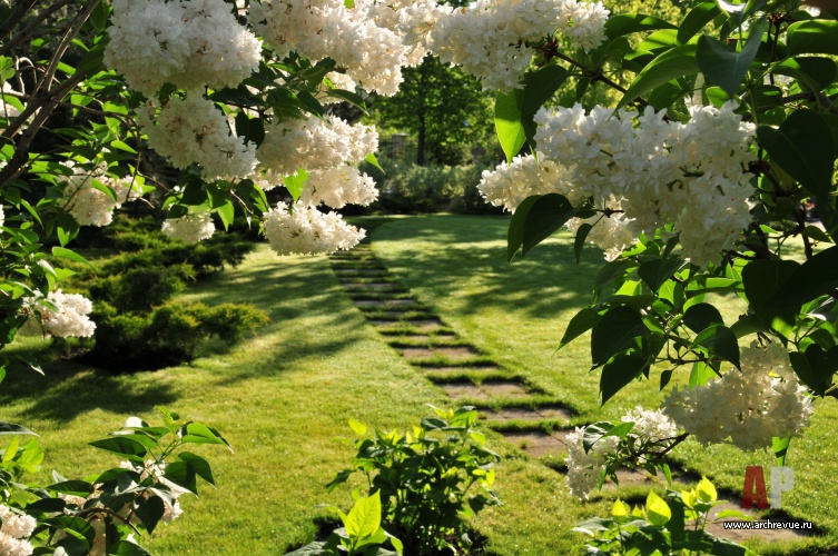 带草坪的公园景观设计（浪漫公园带草坪）丨俄罗斯莫斯科丨IL NATURE-14