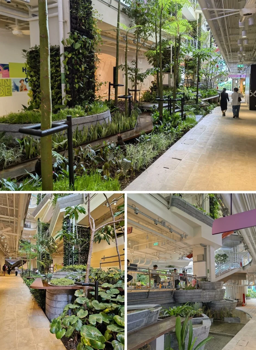 UDO商业分析篇|重构人、空间与消费行为的关系！“自然系“商业空间设计的核心逻辑-71