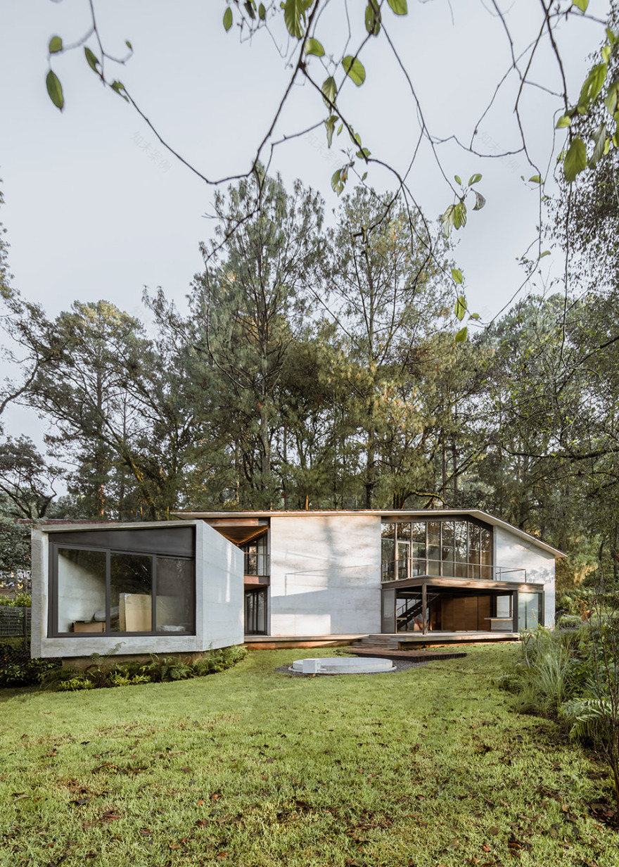 高树之家丨墨西哥丨1i Arquitectura-3