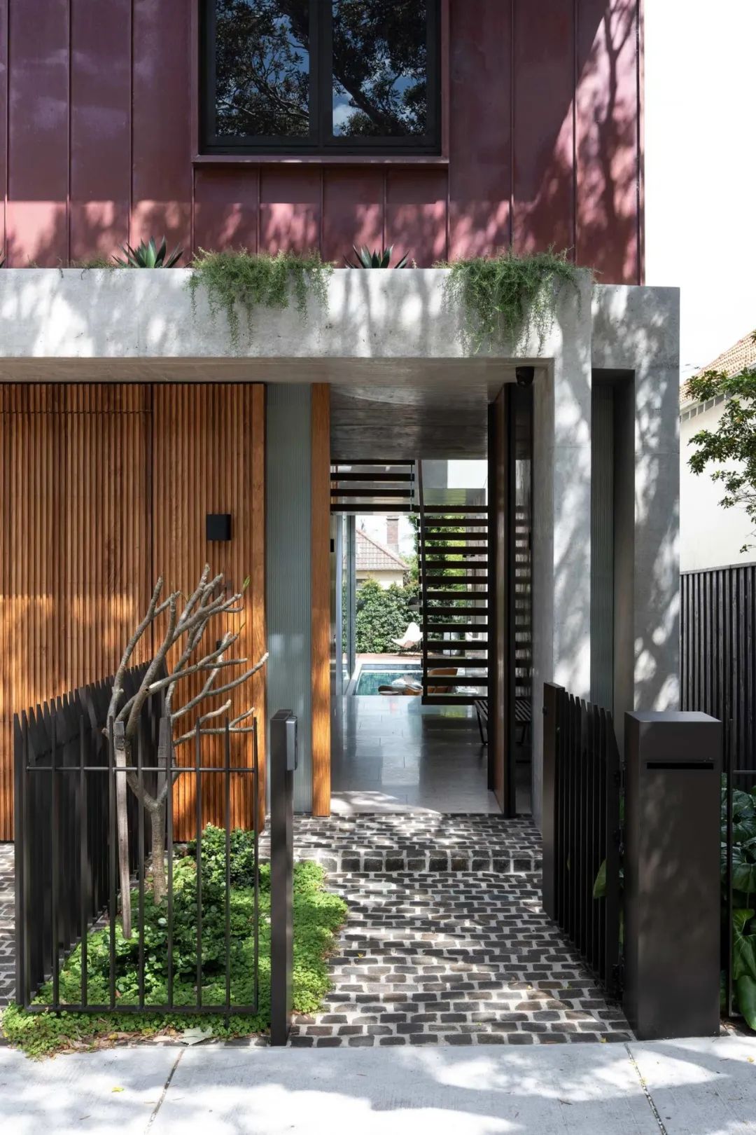 悉尼皇后公园自然诗意之家丨澳大利亚悉尼丨Porebski Architects-4