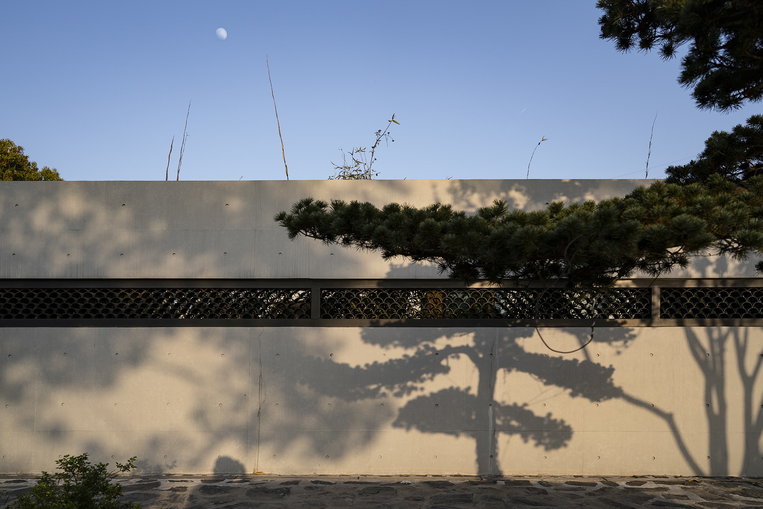 上海浦东金桥镇永建路小公园丨中国浦东新区丨上海善祥建筑设计有限公司-52