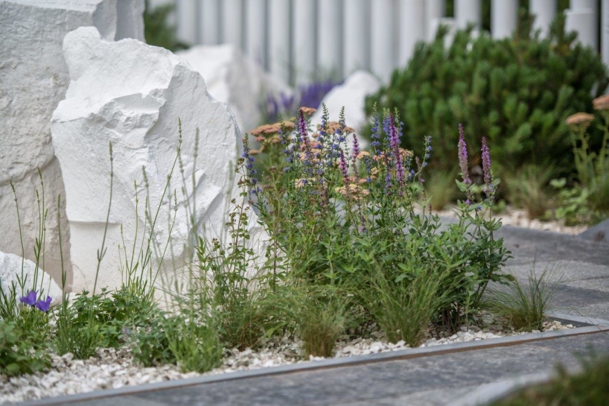 Сад трав: проект для выставки Moscow Flower Show-4