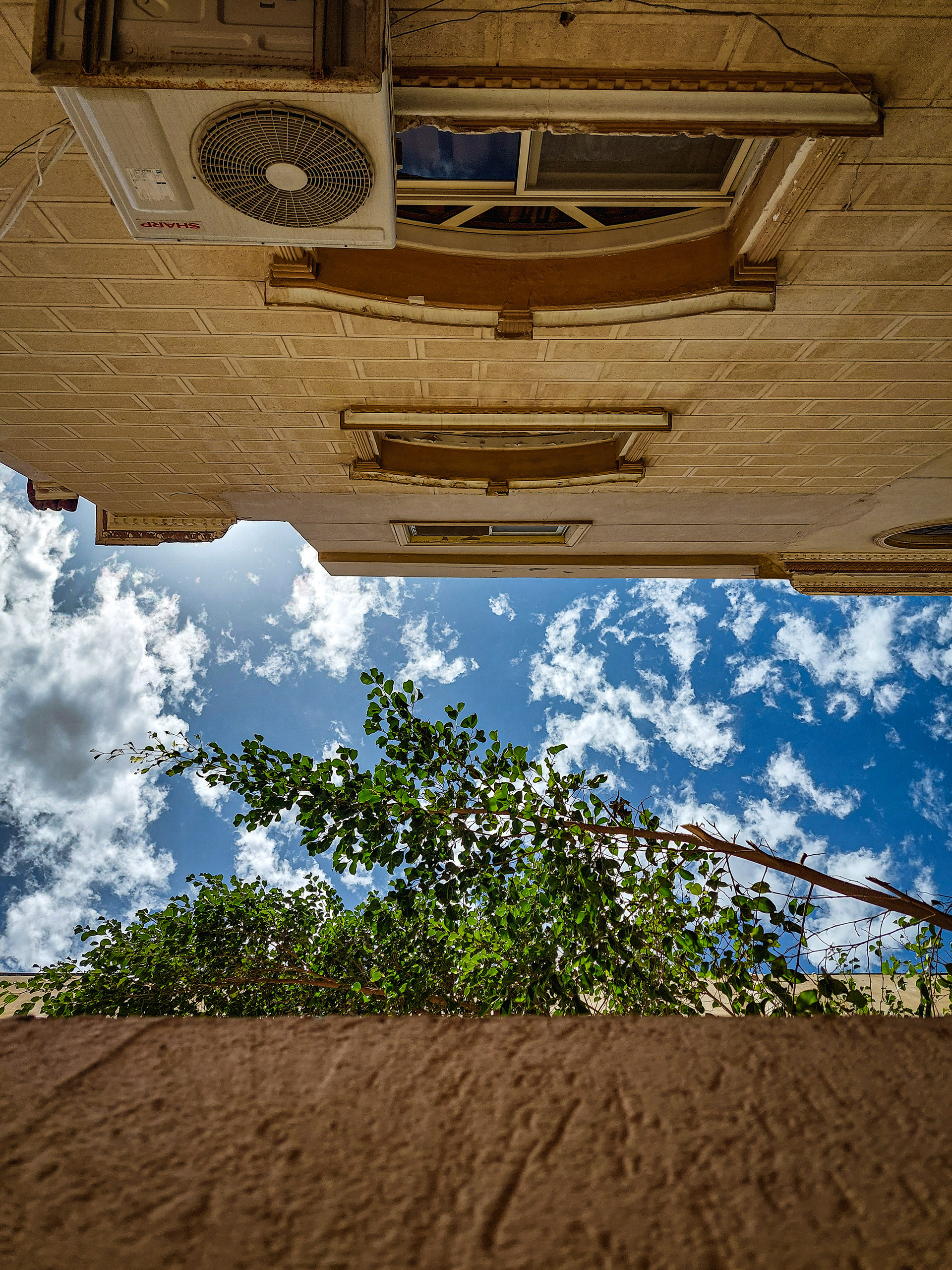 别墅景观丨EgyptCairo-35