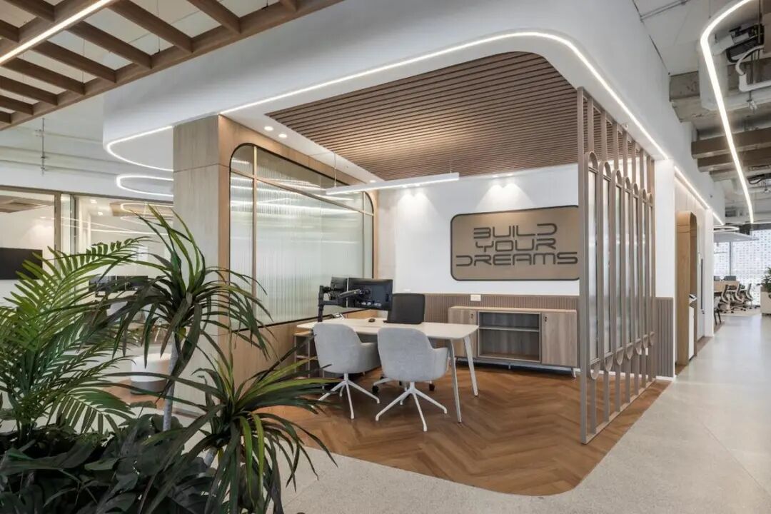 BYD比亚迪以色列办公室丨A.R. Grinberg Architects-9