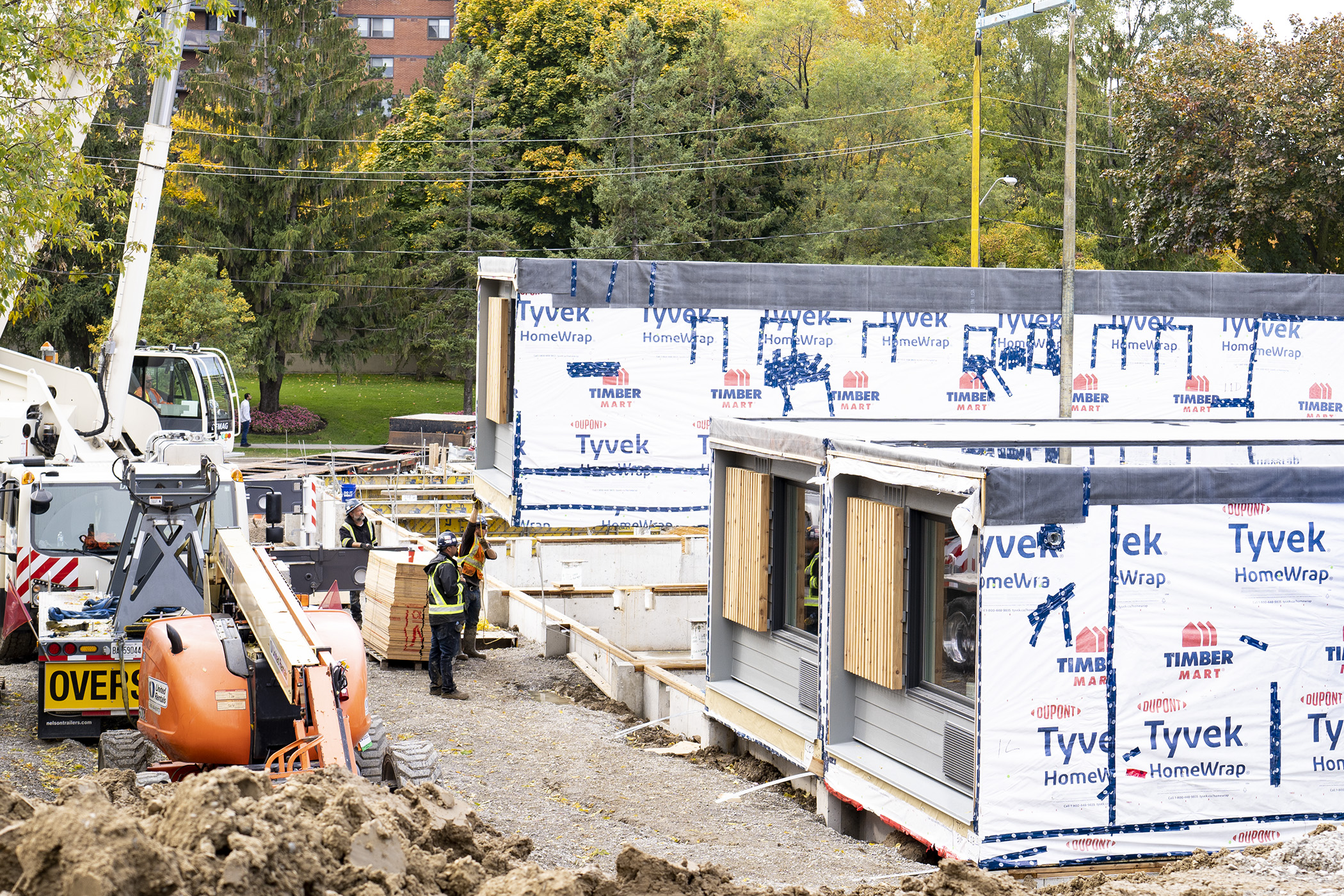 News - Montgomery Sisam-43