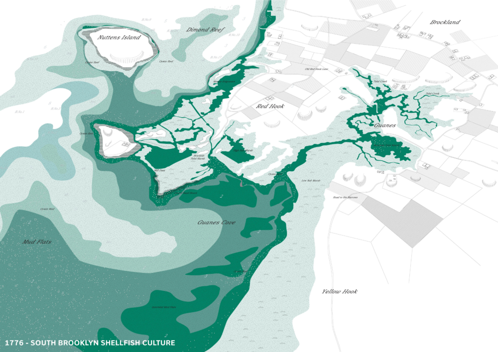 
          Oyster-tecture - SCAPE      -7