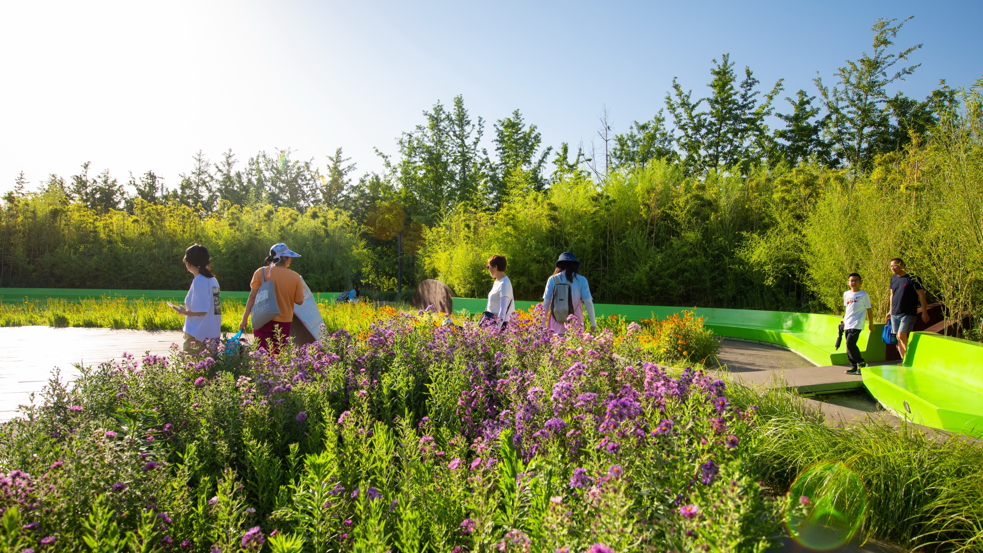 西安雁南公园（二期）丨中国西安丨土人设计（Turenscape）-123