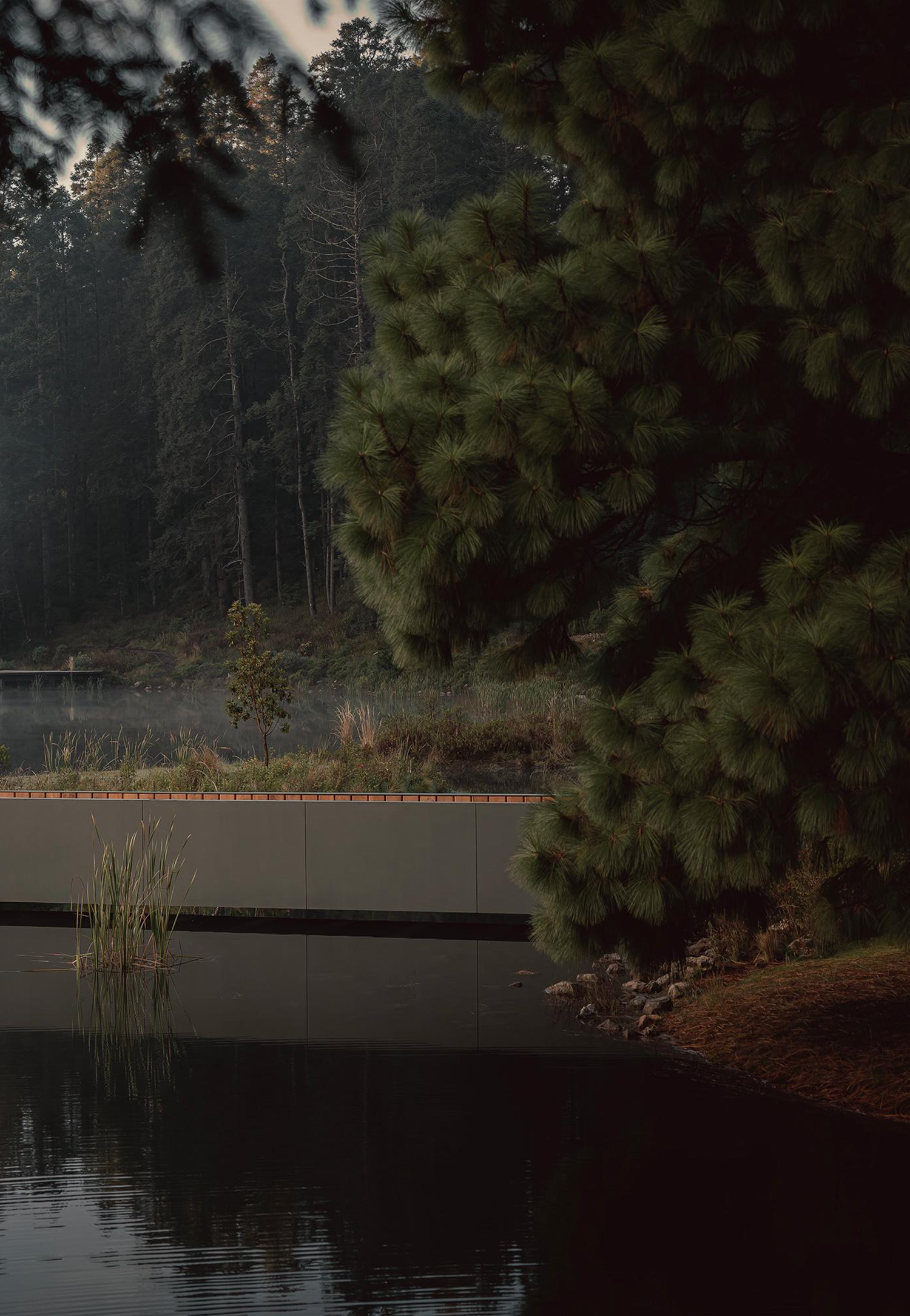 埃尔埃斯皮诺别墅景观丨墨西哥丨Dirección 设计工作室-75