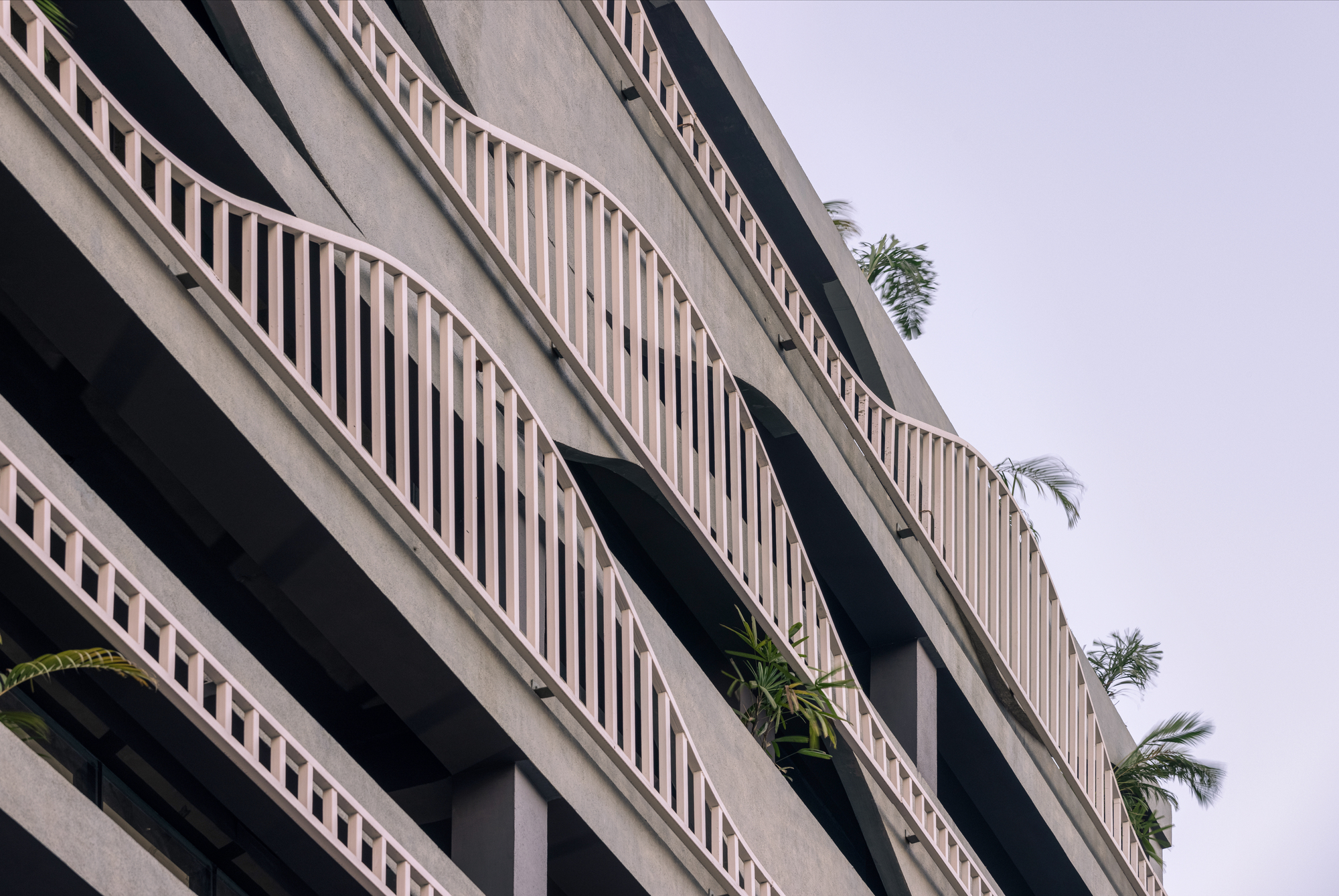 Mohali 商业建筑丨1232-1