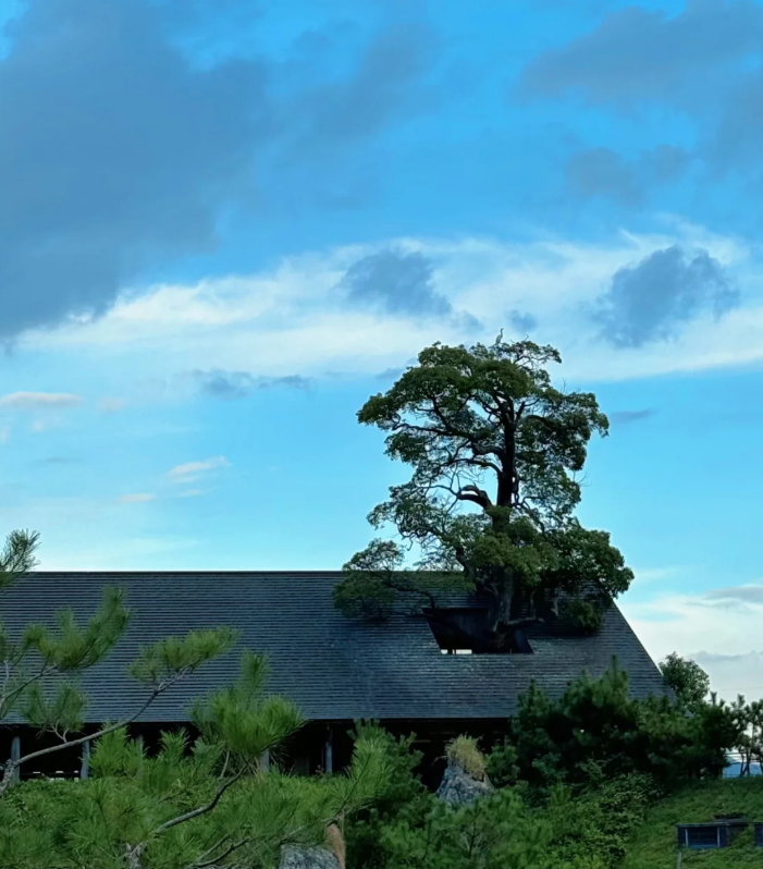 【UDO商业空间设计】创新体验|“远郊商业”打造都市微旅行目的地！-38