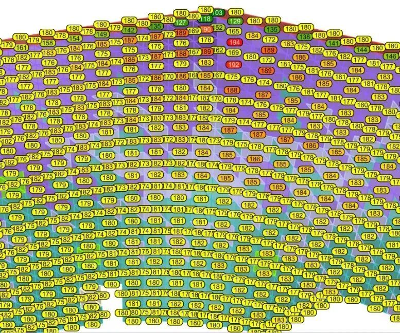 筑魂湾翼——粤西文旅新地标:湛江文化中心-29
