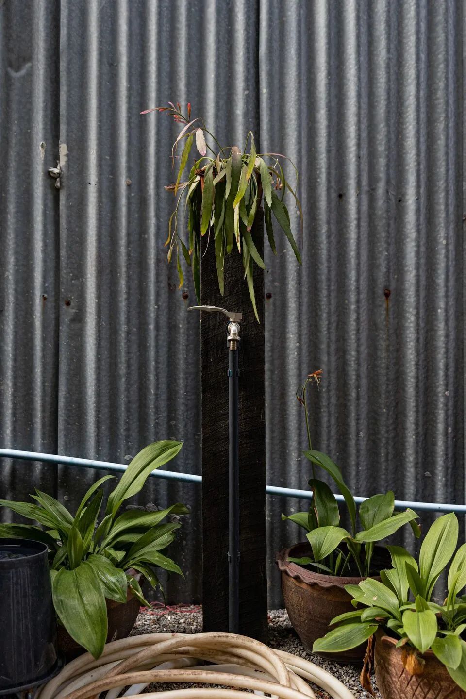 翁氏工厂联合办公空间丨泰国曼谷丨Architect Nonsense-19