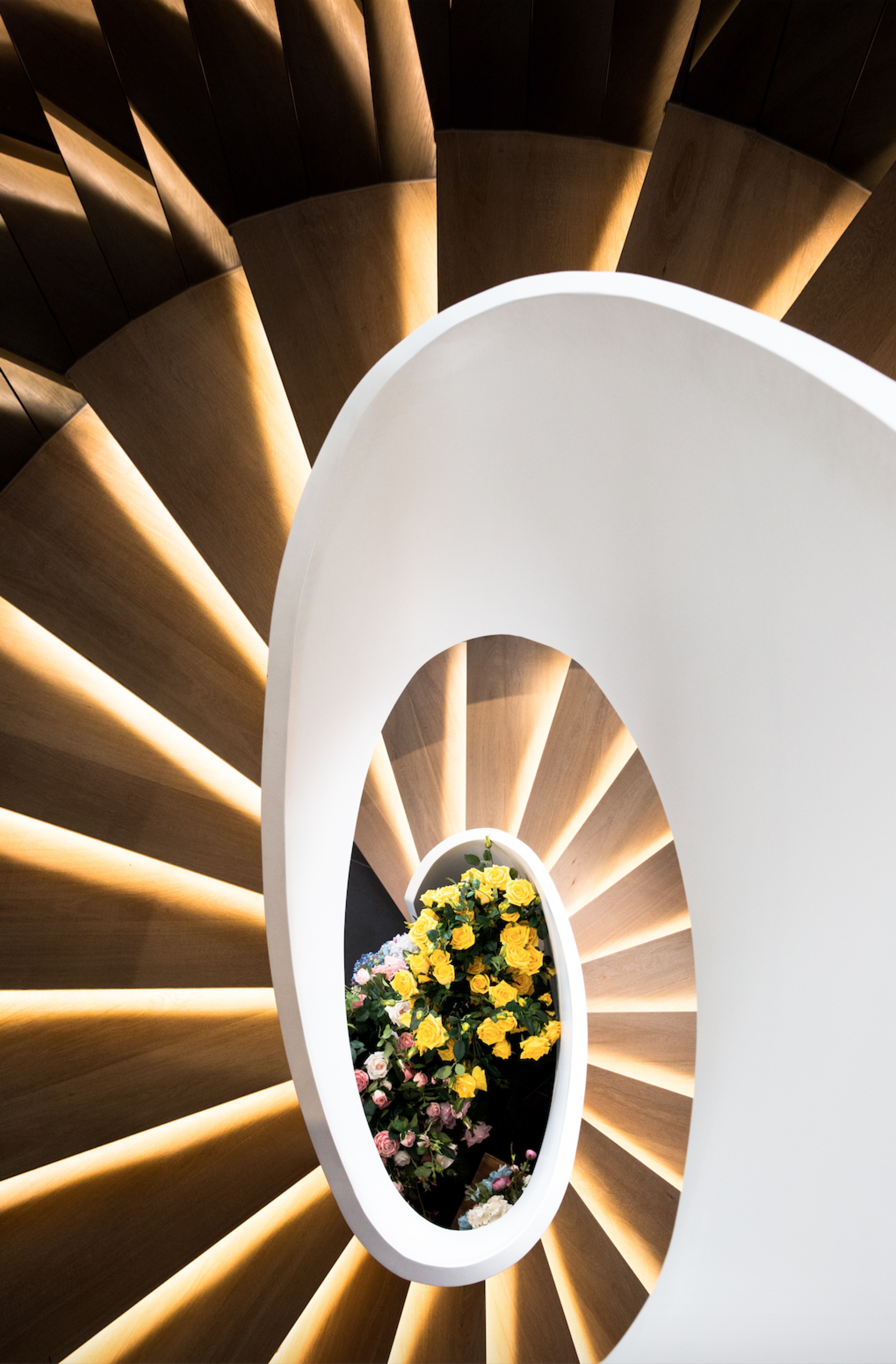 “再会吧 姑娘!” 啡概念馆 | 曲线空间与光影共舞-9