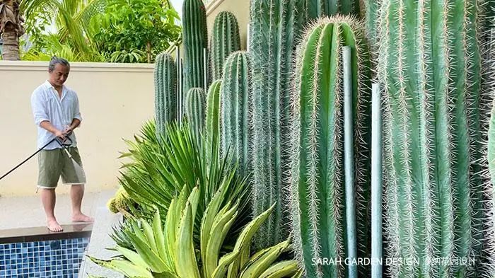 悠闲度假花园 ▎三亚蓝湾小镇-36