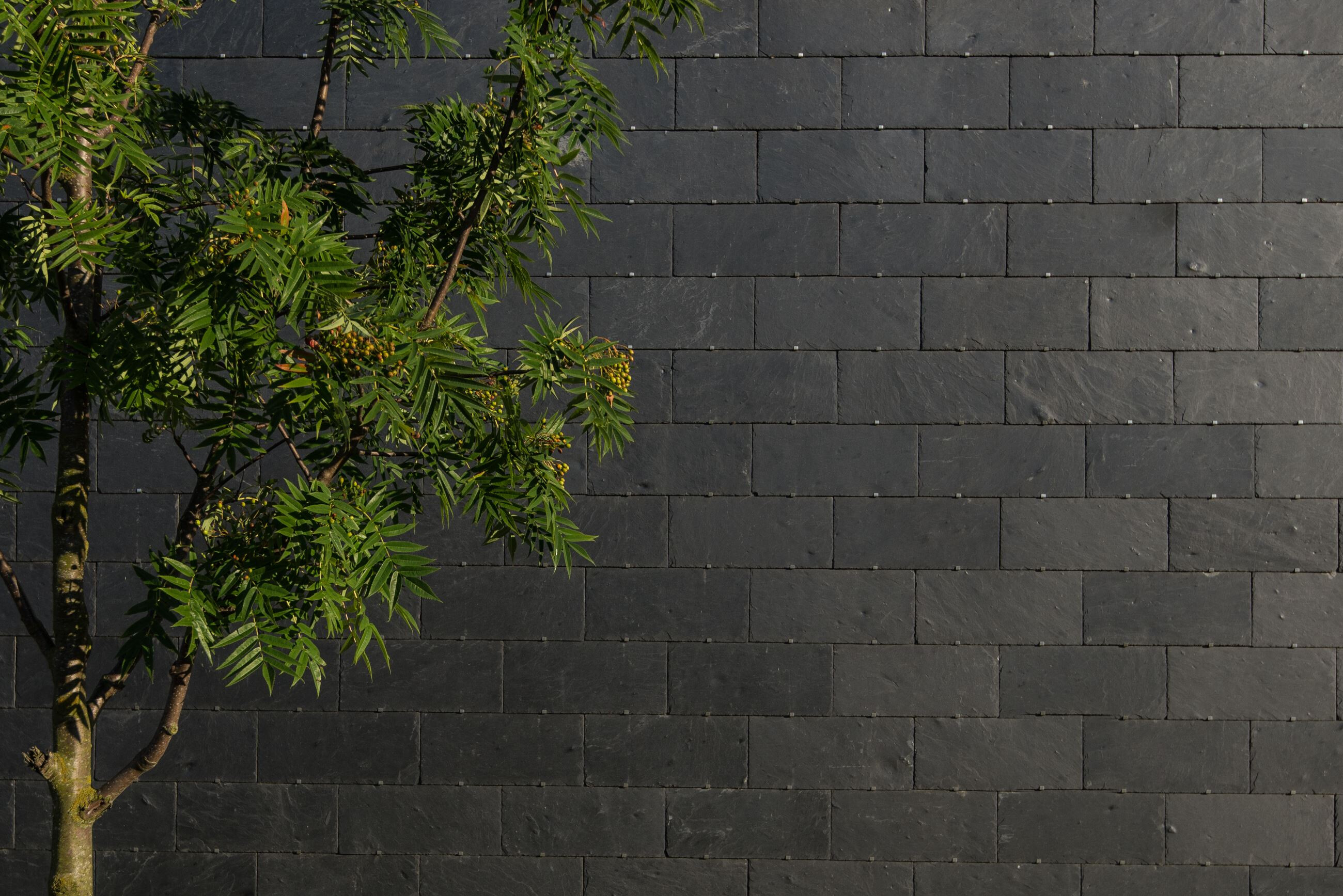 丹麦 AlmenBolig+ 经济适用房-17