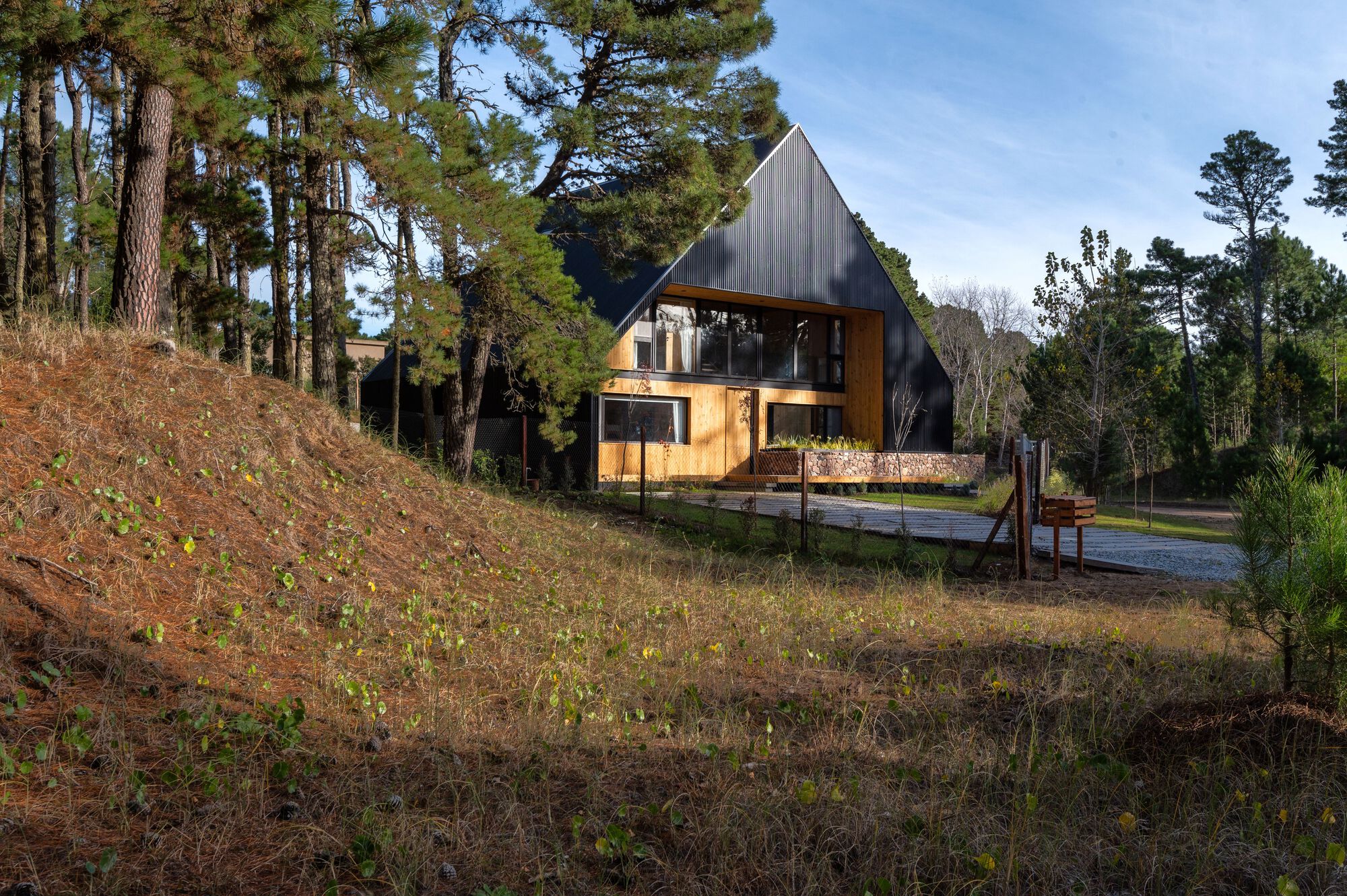 Casa CMMY丨阿根廷丨Estudio Galera-40