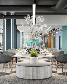 OLX COMPANY | COLORFUL DESIGN