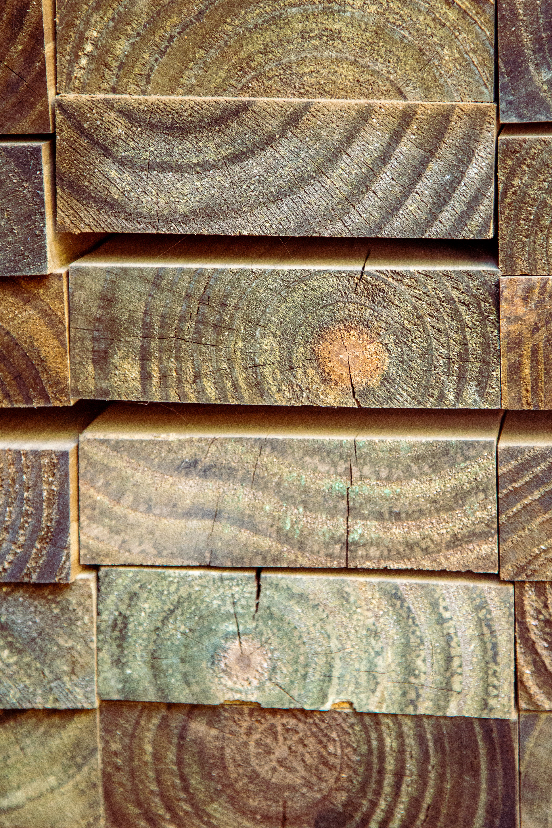 Maderera / Lumber company-0