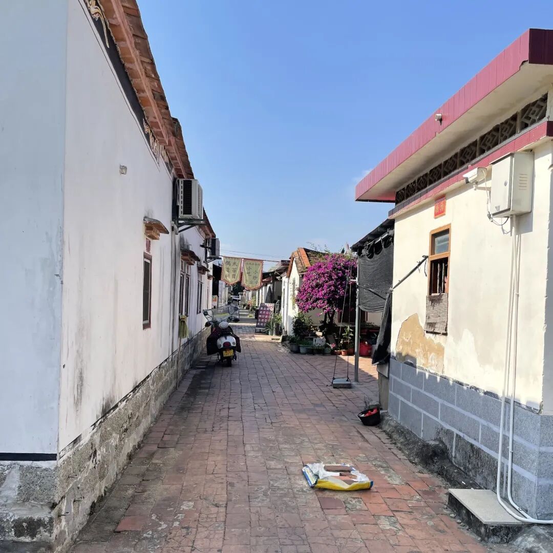 双鱼岛咏气演化所实验性水上运动配套建筑设计丨中国漳州丨Studio 10-22