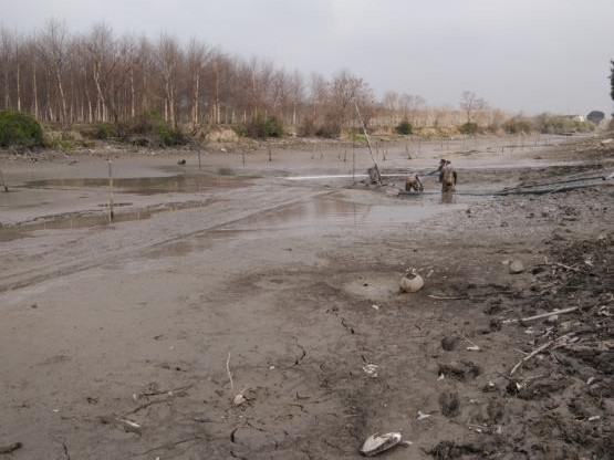 全国“土地日”|我院助力海曙区横街-古林片区入选自然资源部第三批全域土地综合整治典型案例-32