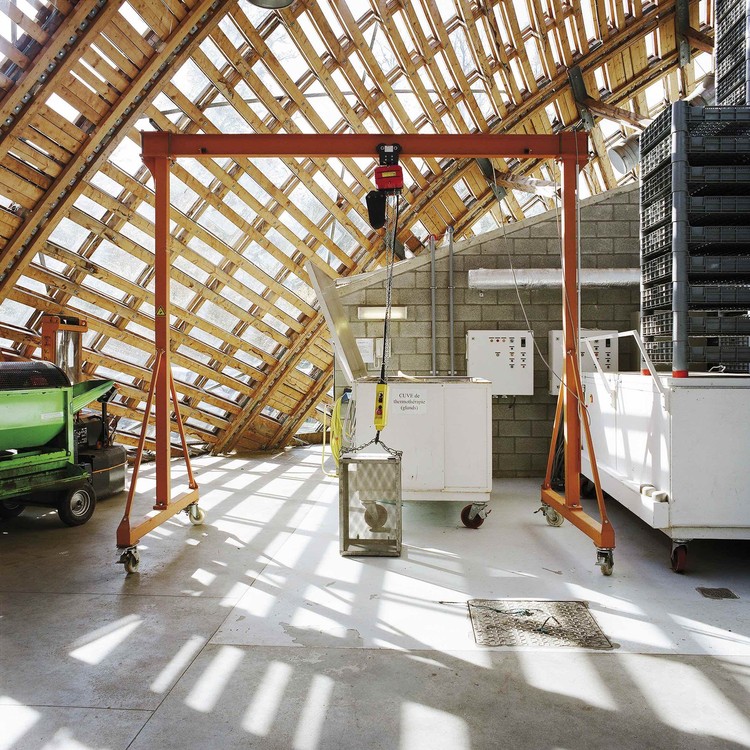 Walloon Branch of Reproduction Forestry Material   SAMYN and PARTNERS-25