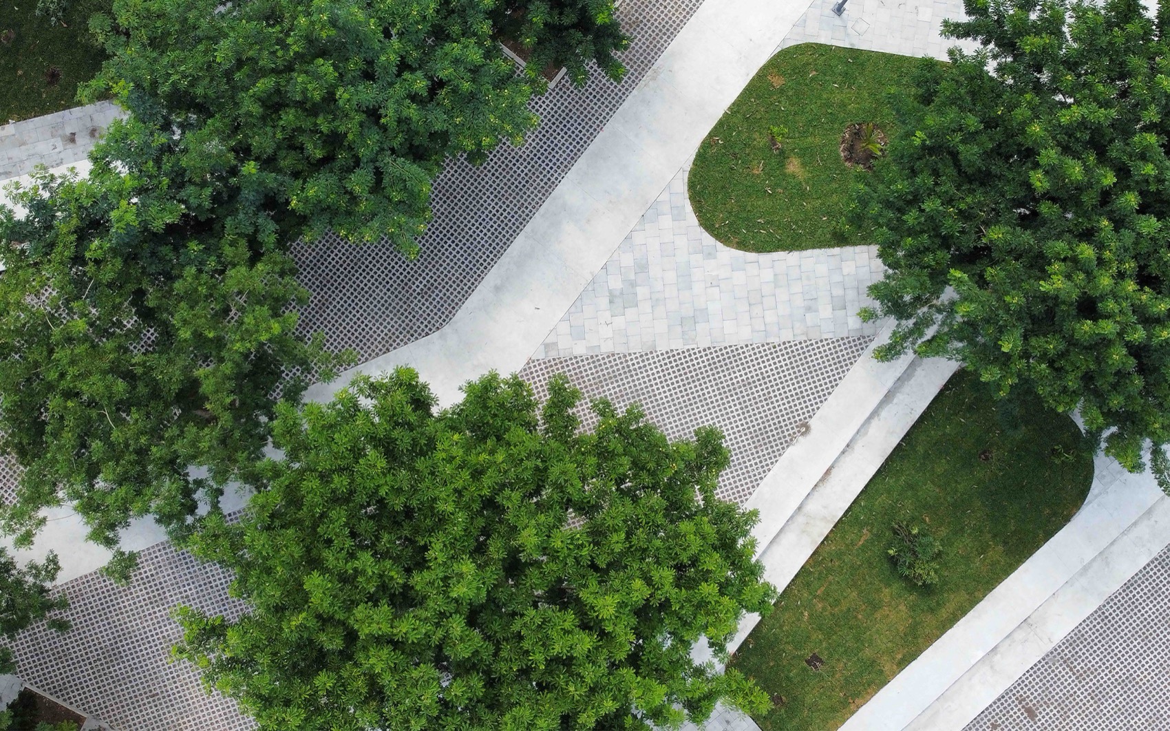 Apulco公园丨墨西哥韦拉克鲁斯丨Taller Multidisciplinar-4