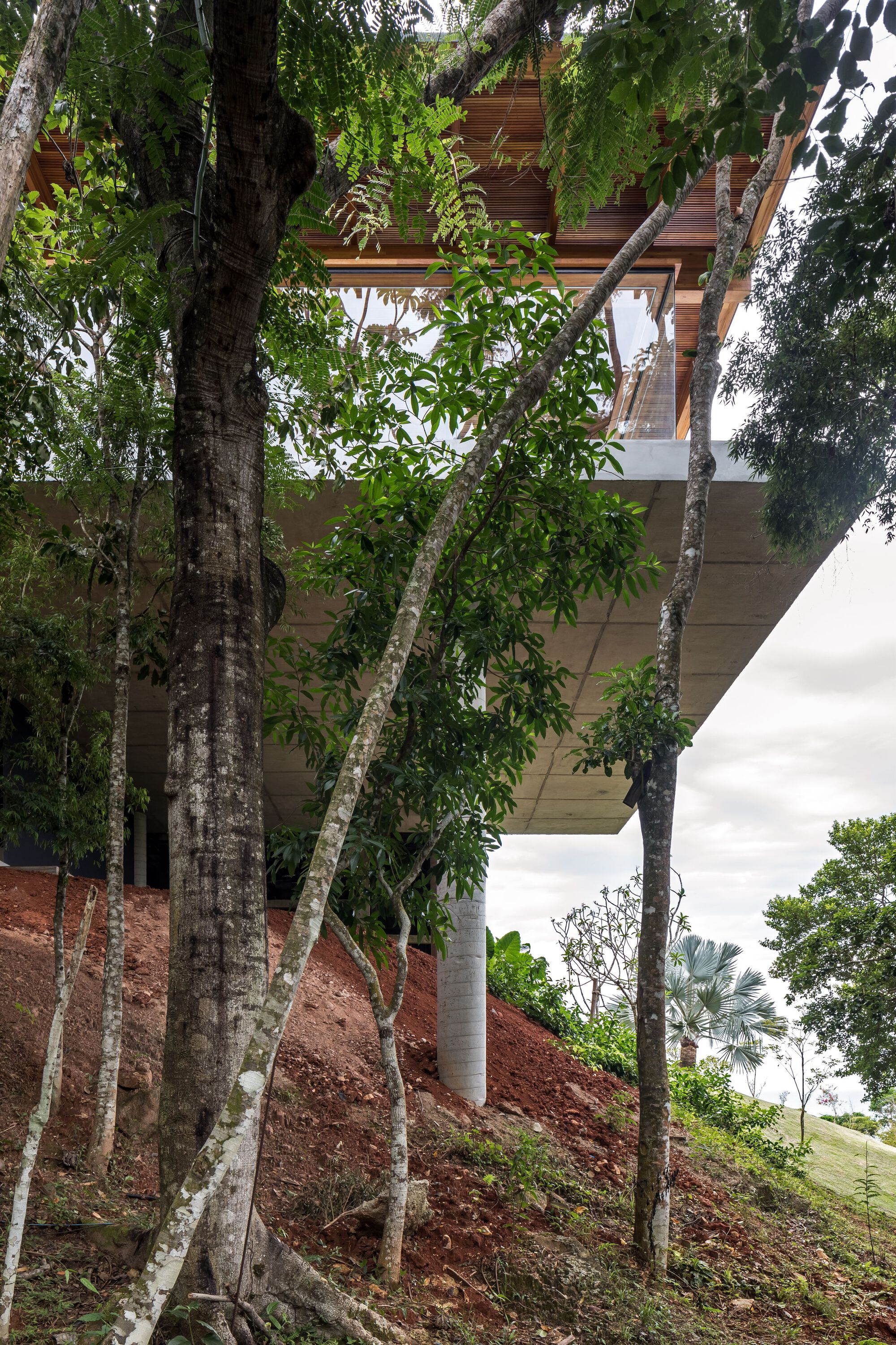 FB 住宅丨巴西丨Jobim Carlevaro Arquitetos-41