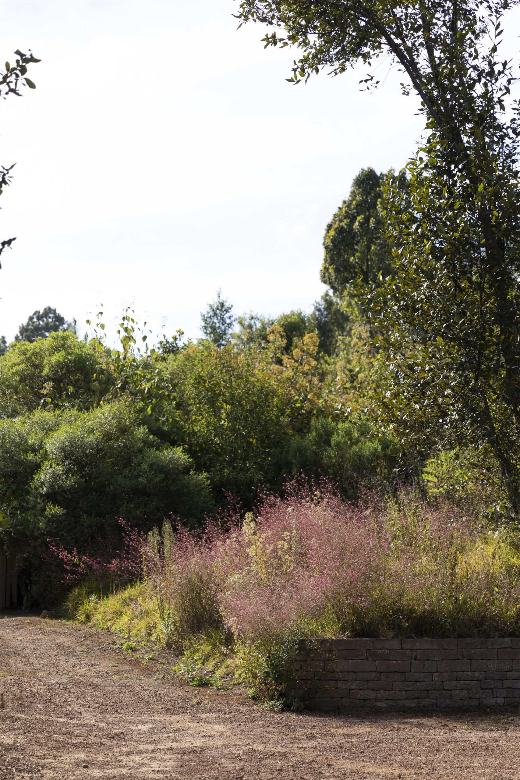 草甸景观设计-12