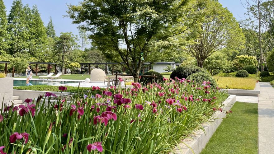 山栖谷隐 · 上海私人庄园景观设计丨中国上海丨瀚世景观规划设计(上海)有限公司-48