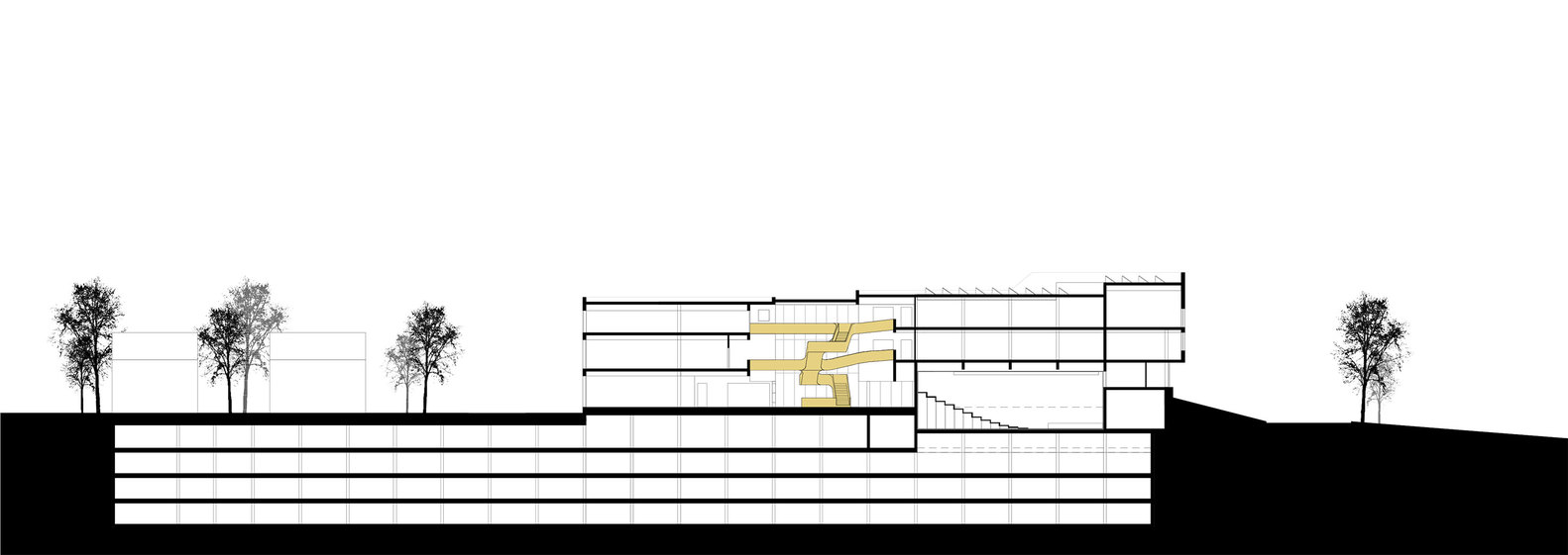 荷兰蒂尔市文化中心“金灯”-40