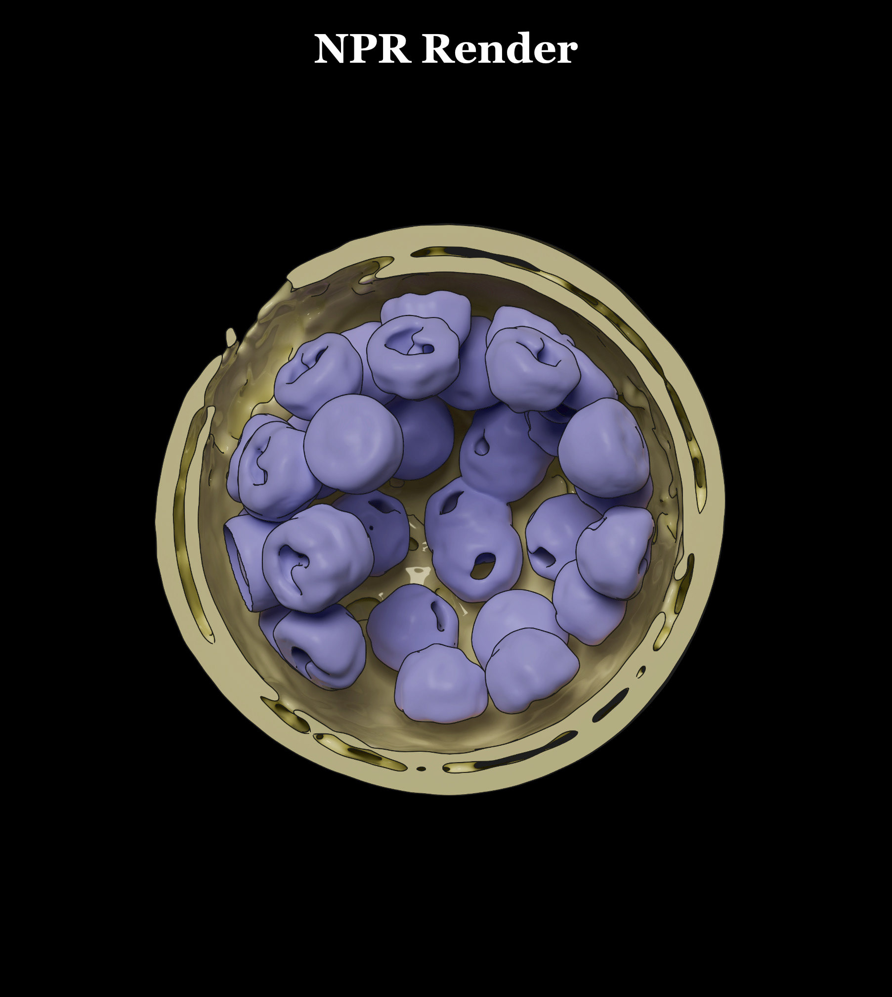 风格化生物学-24