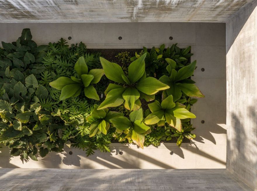 巴西丛林中的 01 TVN House-30