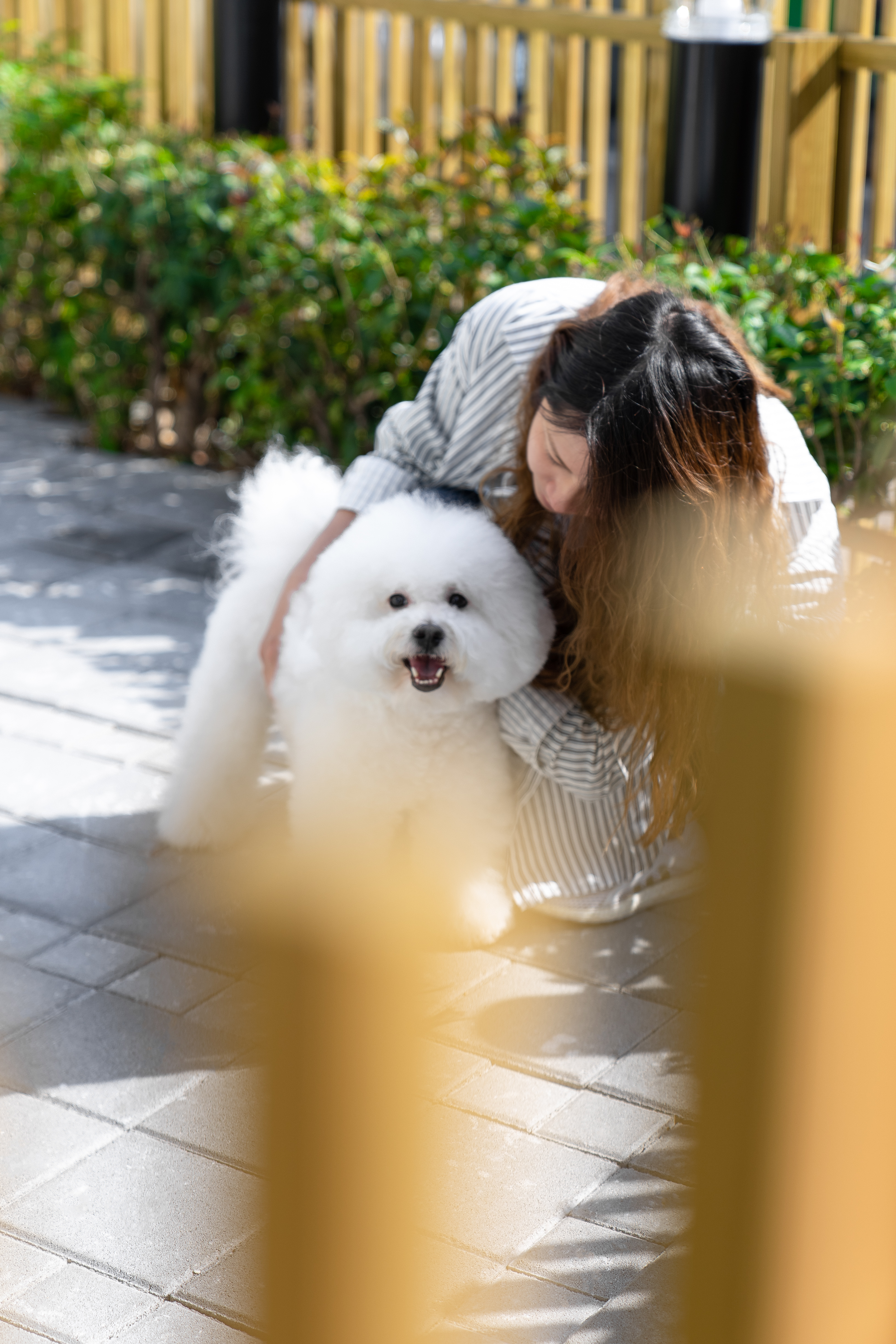 Mu Pet Salon 毛小孩與毛爸媽的療癒沙龍丨中国台中丨Haven Space Design-13