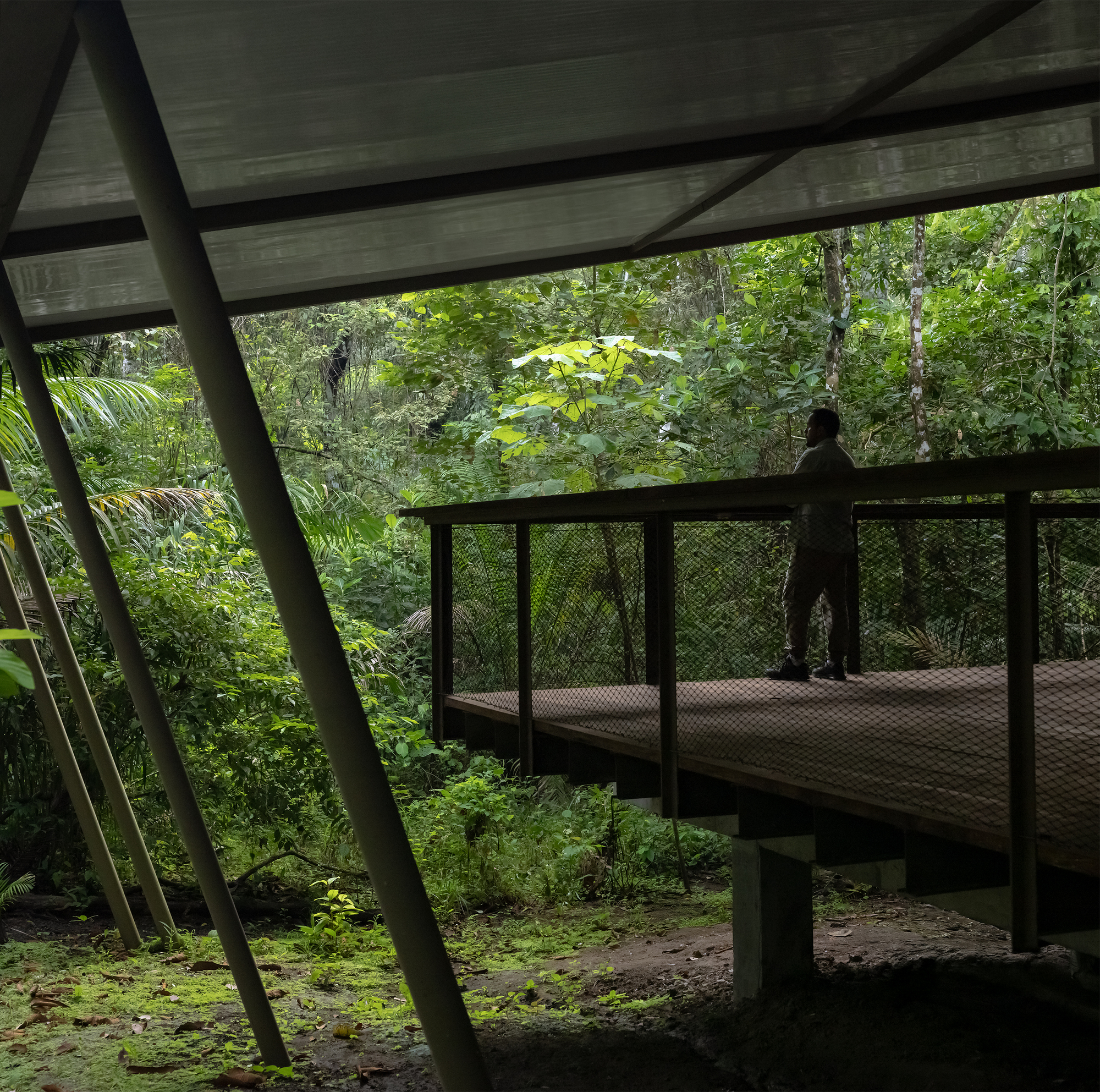 Refuge in the Rainforest - Tour Guide Training Center / Héctor Ayarza + Estudio Garúa-28