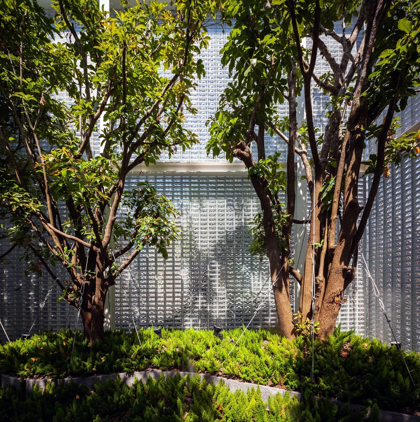 曼谷玻璃城堡-30