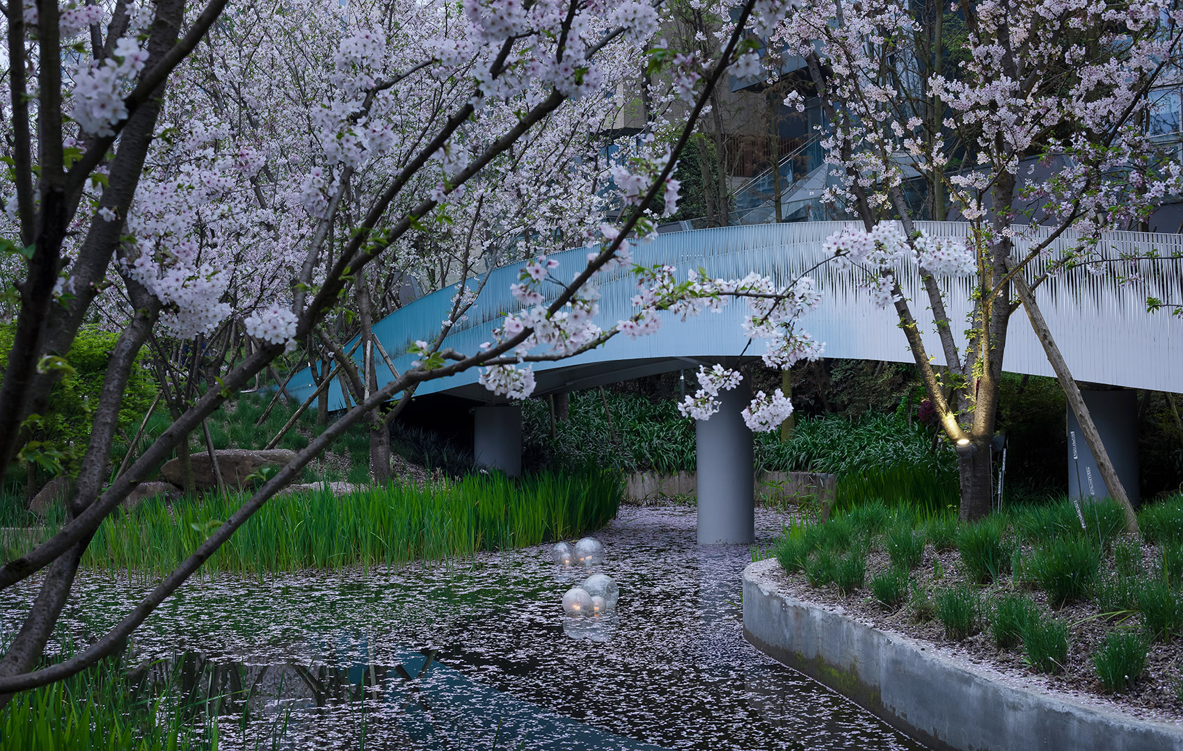 成都麓湖皮划艇航道景观丨中国成都丨纬图设计机构-38