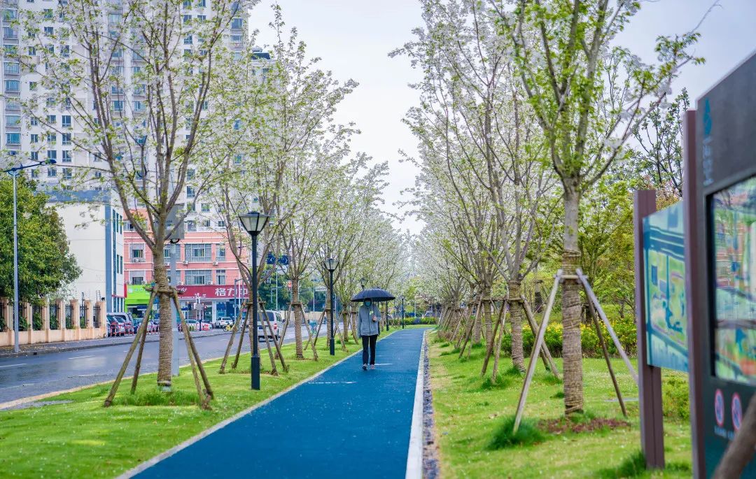 上海松江方松体育公园-54